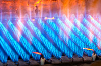 Winnal gas fired boilers